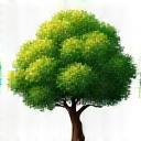 Tree planted icon