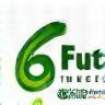 Eco Future Foundation Logo