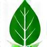 Green Earth Initiative Logo
