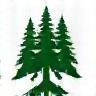 Sustainable Forests Org Logo